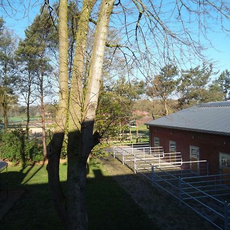 Ferienwohnung Friesenstall Heede Exterior photo